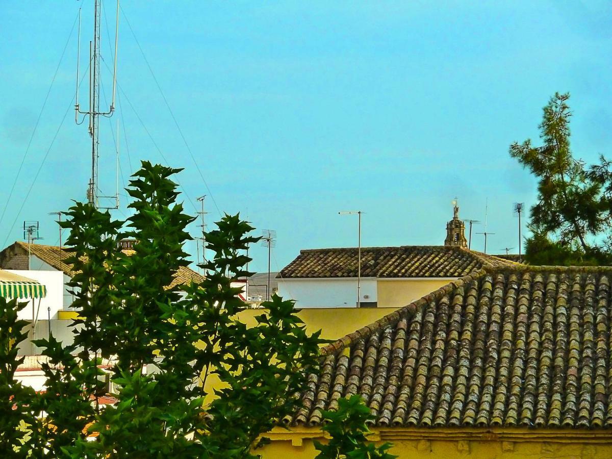 Gran Bulevar Cordoba Dış mekan fotoğraf